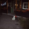 doetse1968