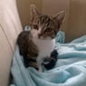 sanne022