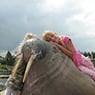 sandra356