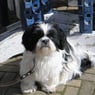 Mrsluna2007