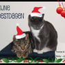 Lieske11