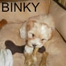 binky2010