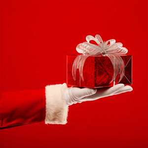 Geef een speciaal kerstcadeau: VIP-lidmaatschap voor een vriend! 🎁 image