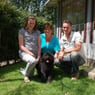 labradoodle