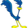 roadrunner44