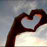 leonanieuwe