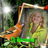 Djramona