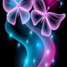 butterfly60