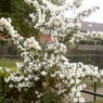 Jeanet2706