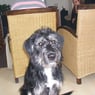 deejay2009