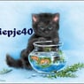 Miepje40