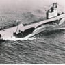 zwaardvis