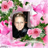 schattig