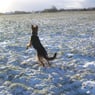 Sanne84