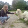 Mrseveline