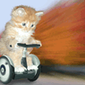 miauw57
