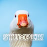 stumper