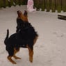 rocko2