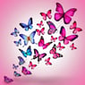 vlinder