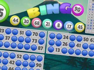 Bingo 90 screenshot