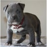 LittleGabber85