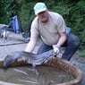 Catfish