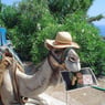gompy2009