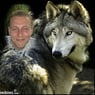 wolfie1977