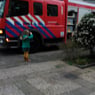 maaike1212