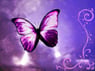 rianne2204