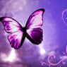 rianne2204