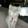 tinka
