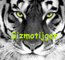 gizmotijger