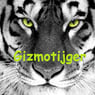 gizmotijger
