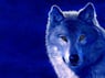 wolf2009