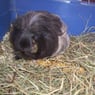 rianne39nl