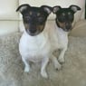 sparky0807