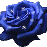 flower1960