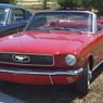 mustang73