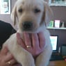 janey