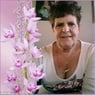 wilma51nl