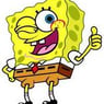 spongepaul
