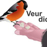 doruslimburg