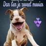 missjolanda