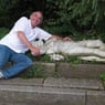 gerrit007