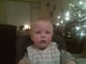 willem231