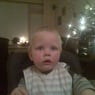 willem231