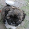 Dreamy