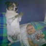 gerpat