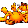 Garfield227